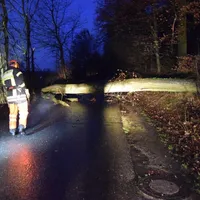 2018-01-03_untwetter_baum_auf_fahrbahn_dettingen_1.jpg