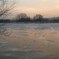 2017-01-23_eisschollen_auf_dem_main_3.jpg